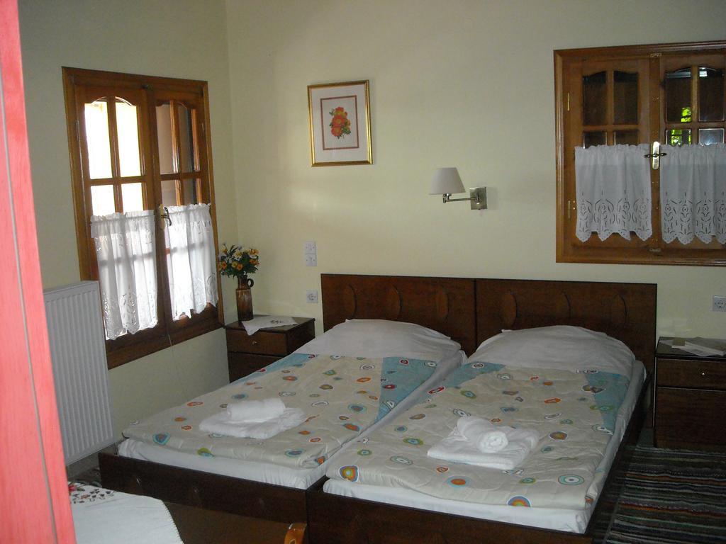 Epavli Antonis Apartment Konitsa Exterior photo
